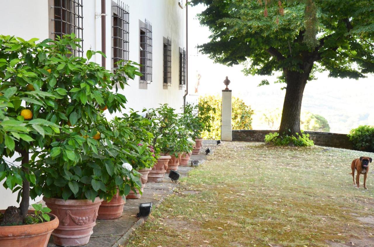 Podere Di Montecchio Floransa Dış mekan fotoğraf